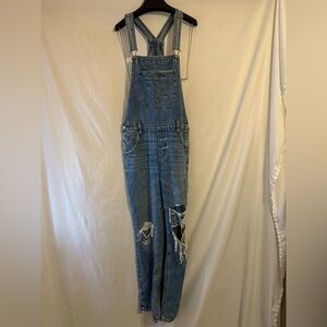 American Eagle Outfitters Distressed Tomgirl Overalls